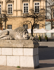 Main Market Square, stone sculpture of a lion in front of the entrance of Town Hall Tower, Krakow, Poland