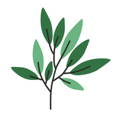 Branch. Plant on a white background. Vector floral set. Herbal Collection