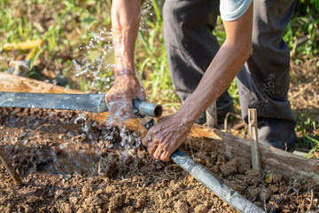Fototapeta premium Close-up of a hand pipe in a vegetable garden
