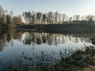 tree reflections in water, early spring landscape