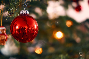Christmas tree with Christmas decoration; Nordmann fir (Abies nordmanniana)