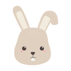 cute little rabbit face animal cartoon isolated design