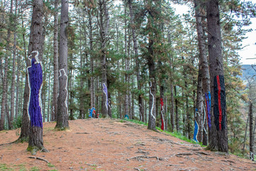 Oma forest, Urdaibai Biosphere Reserve.
