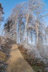 Verschneiter Wanderweg im Nebel