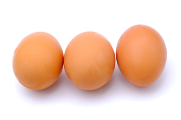 chicken egg isolated on white background