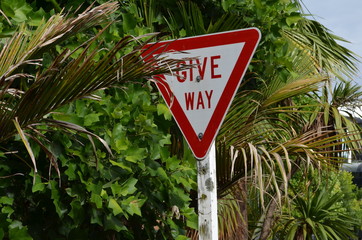 give way sign in New Zealand hidden in palm tress