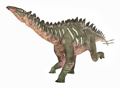 Dinosaurier Miragaia, Freisteller