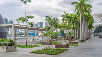 Walk way with palms beside at parks and outdoor of marina bay with singapore skyscrapers skyline timelapse hyperlapse - obrazy, fototapety, plakaty