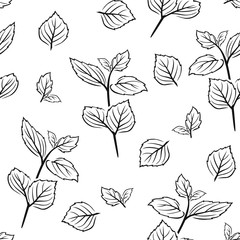 Mint leaf black and white seamless pattern. Herb outline vector illustration. Simple Botanical background. Twigs and leaves of peppermint.