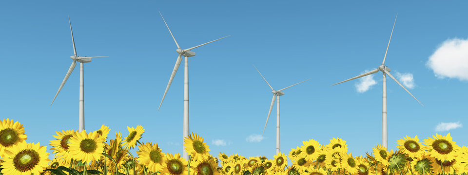 Windkraftanlagen mit Sonnenblumen