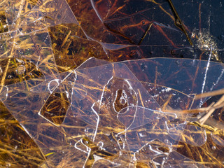 abstract background with dry grass, thin ice and water textures