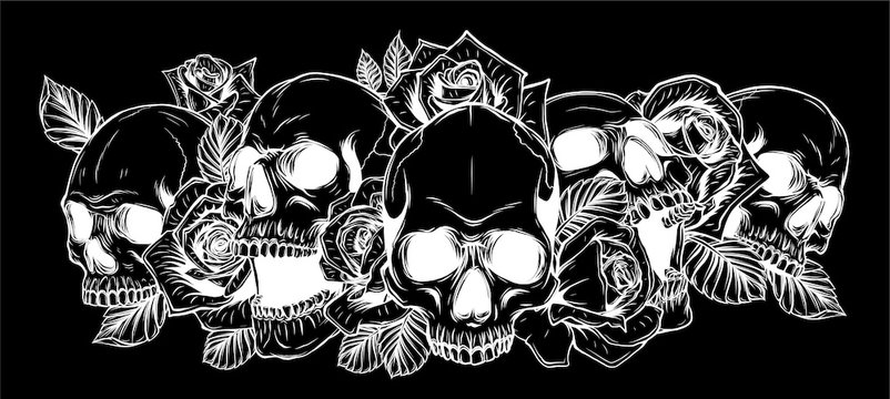 Skull and roses in black background Vector illustration
