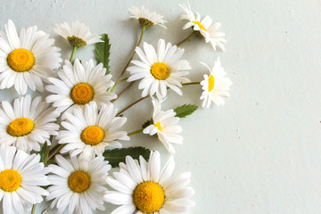 Obraz premium corner composition of daisies on a light background with a copy of the space