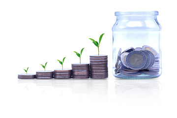 Many coins,coins stack with tree and coins in a jar how to show saving money for better life, financial,recovery,stability for the future isolated on white background.