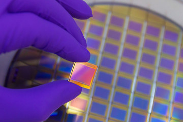 Hand in purple color glove holding microchip photo sensor matrix. On the background is diced silicon wafer with microchips. Focus on chip.