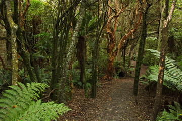 Mores Lookout Track in Riverton,Southland on South Island of New Zealand
