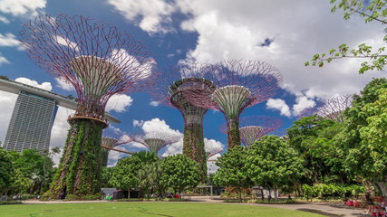 Futuristic view of amazing supertrees at Garden by the Bay timelapse hyperlapse in Singapore.