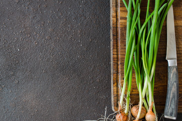 Freshly picked organic spring onions with roots on wooden cutting board.