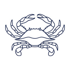 Crab in navy blue color. Blue Crab on white background. Vector logo design, symbol or icon in simple flat style. Linear drawing of a crab. Vector illustration.