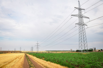 Gold wheat field and blue sky. High voltage electric transmission pylon silhouette tower.