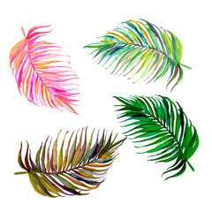 Set of tropical leaves. Jungle, botanical watercolor illustrations, floral elements, palm leaves.