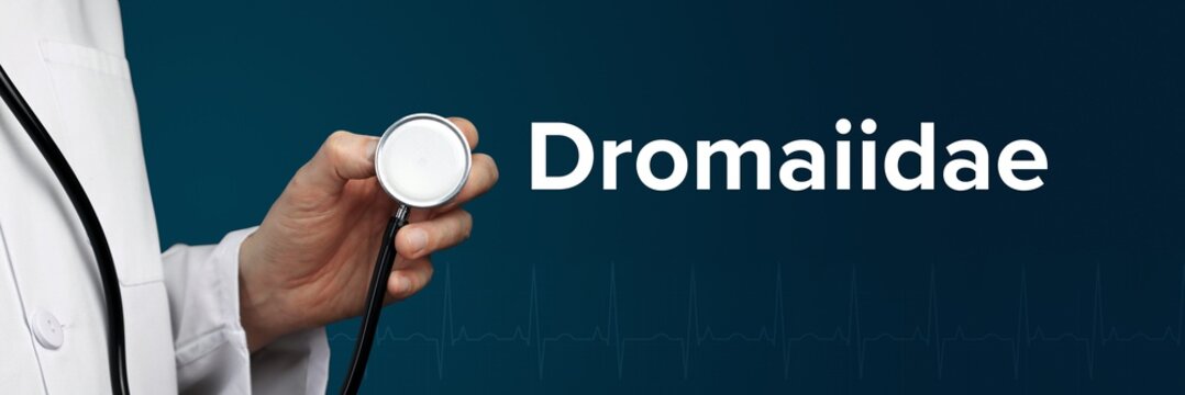 Dromaiidae. Doctor in smock holds stethoscope. The word Dromaiidae is next to it. Symbol of medicine, illness, health