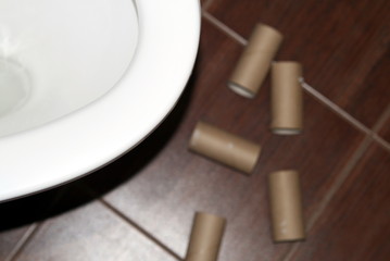 toilet paper bushings are scattered around the toilet bowl