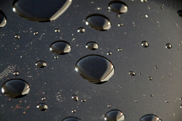 Drops of water glisten in the sun on a black background