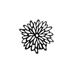 Simple single doodle flower isolated on the white background. Minimal tropical vector ornament. Gerbera silhouette flower icon. 