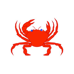 vector spider crab on white background