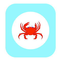 vector spider crab on white background