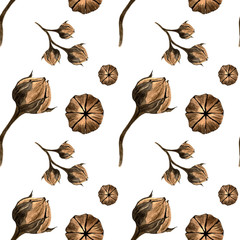watercolor illustration. hand painted. Seamless pattern of dried brown flax flowers on a white background.
