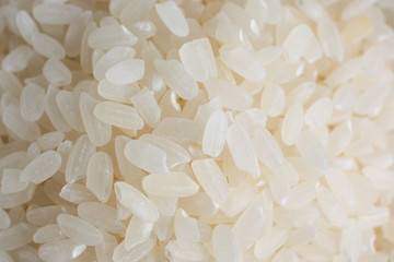 A macro top down closeup view of a pile of short grain rice.