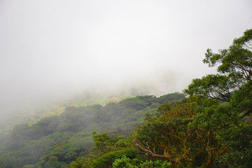 Blick über den Dschungel mit Wolken in Costa Rica 