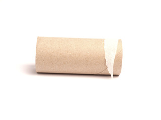 Empty roll of toilet paper