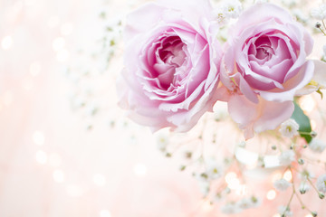 淡いピンクのバラ　花のキラキラの背景