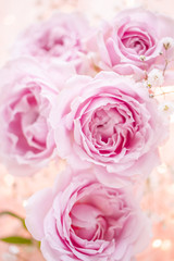 Fototapeta na wymiar 淡いピンクのバラ　花のキラキラの背景