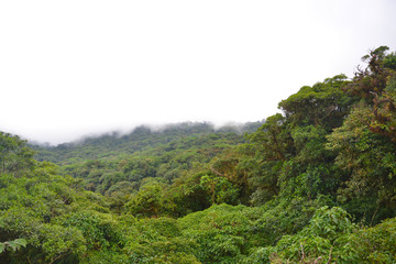 Blick &uuml;ber den Dschungel in Costa Rica 
