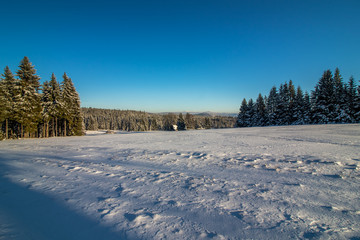Winter landscape of Jizera Mountains on a sunny day