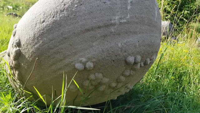 Mysterious Moving Concretion Trovant Stone