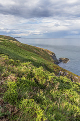 Wandern auf dem Klippenpfad von Howth – Country Dublin, Irland