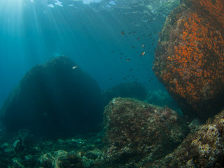 Underwater landscape with walls covered in orange coral, sun rays enter from the surface while small fish swim in the water near the rocky walls.