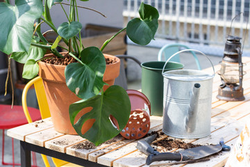 jardinage