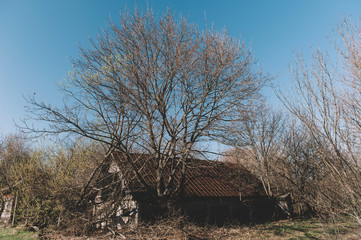 Destroyed house in the exclusion zone. Chernobyl Pripyat. Ukraine.