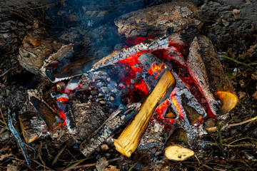 Glowing outdoor bonfire with burned and fresh wood logs, ash and burning fire
