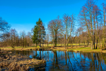 Early spring landscape of mixed European forest and water ponds in Konstancin-Jeziorna Springs Park - Park Zdrojowy w Konstancinie-Jeziornie - near Warsaw in Poland