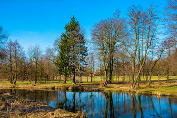 Fototapeta na wymiar Early spring landscape of mixed European forest and water ponds in Konstancin-Jeziorna Springs Park - Park Zdrojowy w Konstancinie-Jeziornie - near Warsaw in Poland