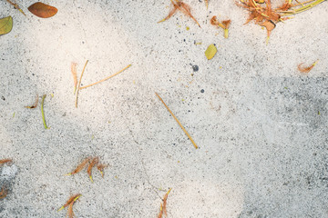 Cement texture with dry leaves background