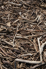 Driftwood closeup