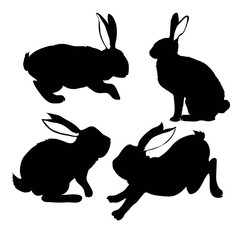 rabbit icon. vector rabbit sign symbol on white background. Rabbit animal silhouette
